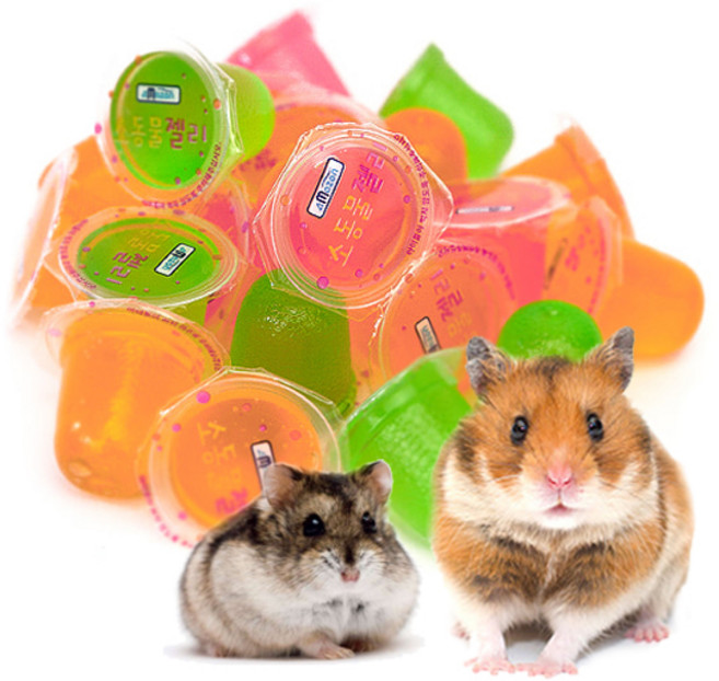 아마존 소동물 햄스터 젤리 낱개1P 맛랜덤, 1개, 15g