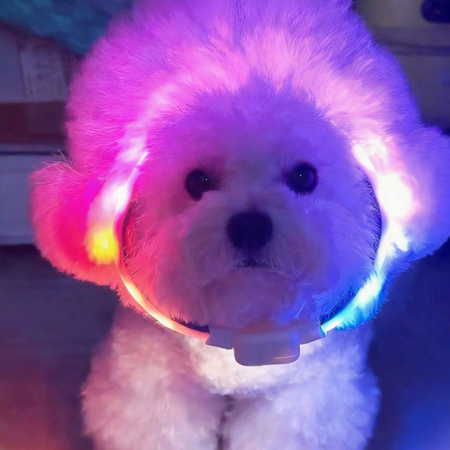 모츄츄 강아지 LED 레인보우 목걸이 등야간 강아지 산책방수 6종 조명, 1개, 백