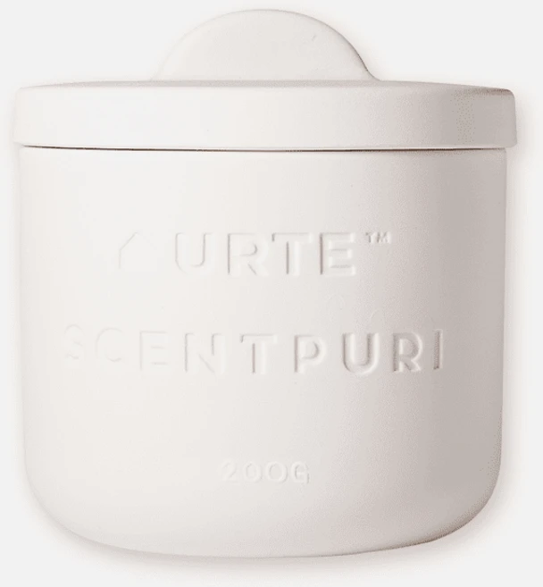 유르테 센퓨리 탈취제 방향제 용기 새가구 새집증후군 포름알데히드 새차 집 페인트 곰팡이 탄냄새 아파트 화장실 담배냄새 집안 홀애비 남자 방 냄새 제거, 1개, 367g - 쿠팡