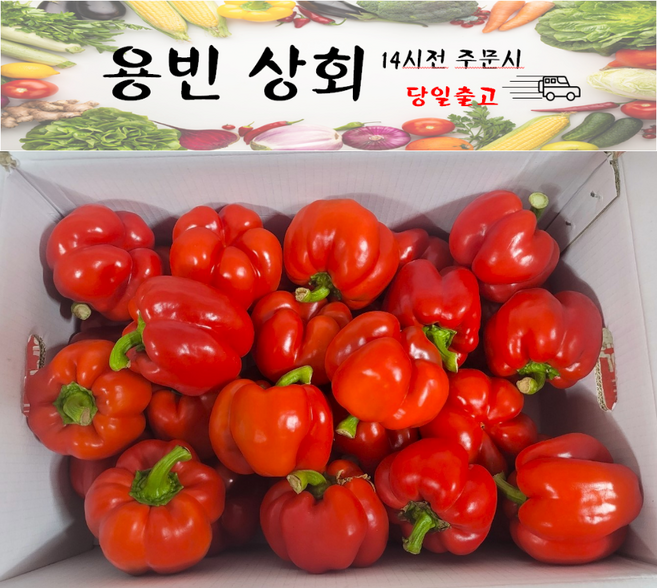 ( 용빈 상회 ) 국내산 빨강파프리카 홍파프리카 못난이파프리카 5kg내외, 1박스