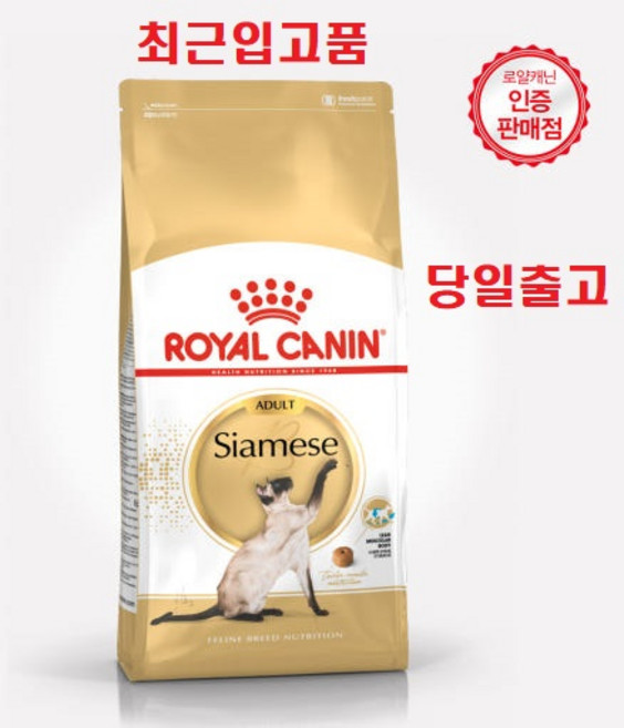 2kg (최근입고분) 로얄캐닌 캣 샴 어덜트 고양이사료 피부+피모 증정품) 츄르1개, 1개