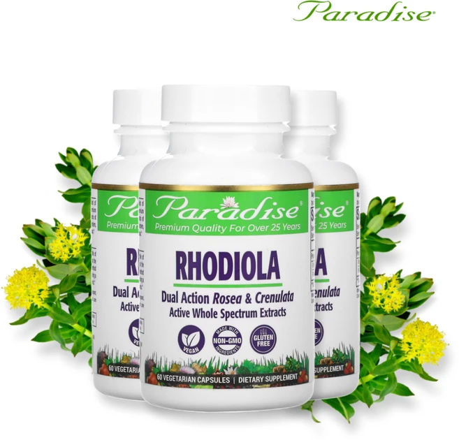 [3세트] 파라다이스 허브 로디올라 홍경천 식물성 60 캡슐 로자 로사빈 뿌리 추출물, 3팩, 60정 - 쿠팡
