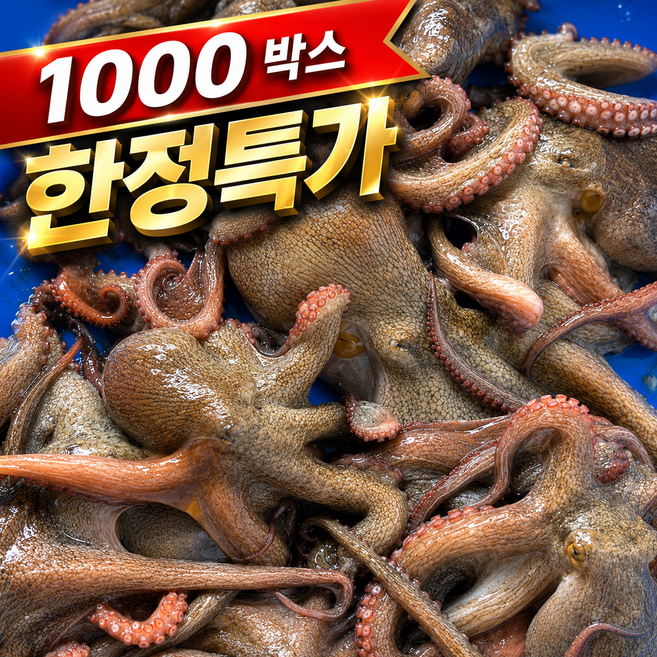 [1000박스 한정특가] 산지직송 자연산 국내산 돌문어, 1박스, 1kg