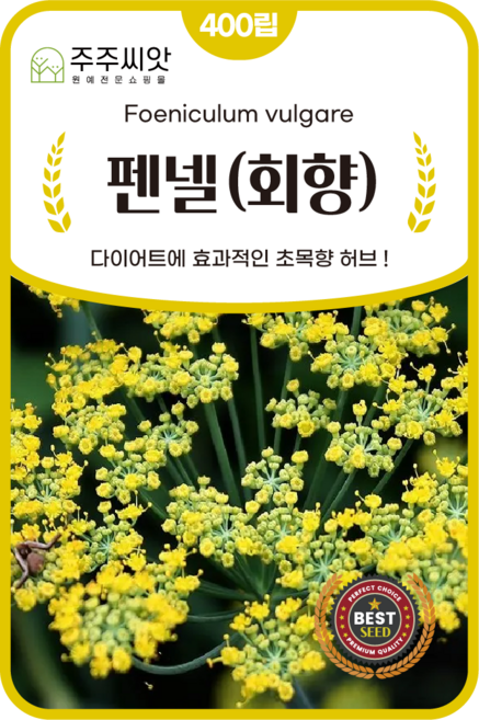 [주주씨앗] 펜넬 회향 씨앗 400립 / 다년생 다이어트 회향 다년생 허브 종자 / 봄 가을 파종 허브씨 씨앗몰, 1개