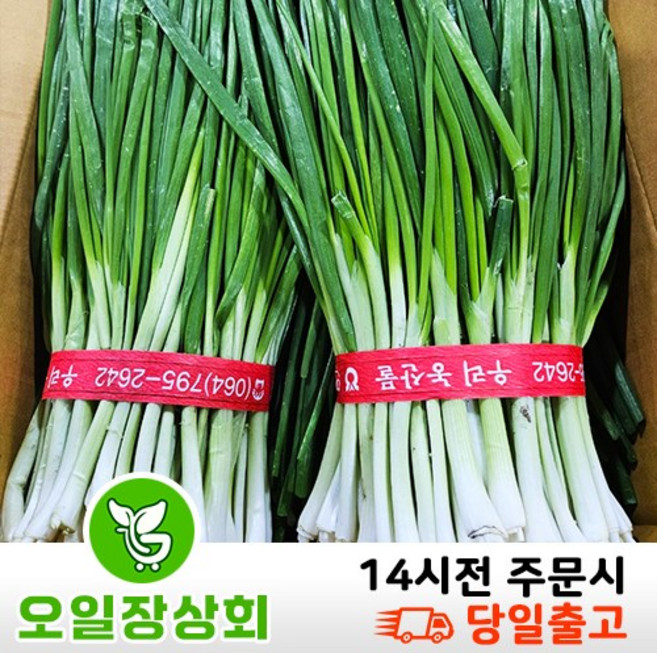 국내산 깐쪽파 1KG 2KG 3KG 내외, 1개, 1kg내외(1단)