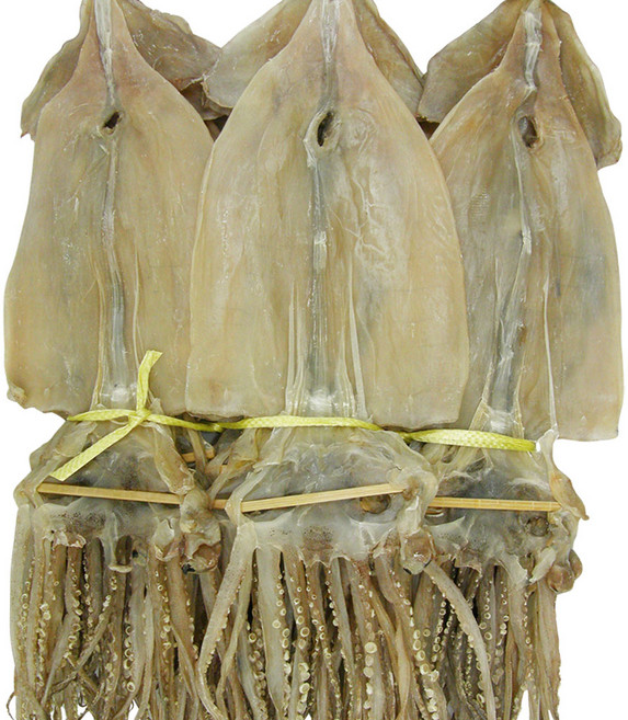 건어물천국 마른오징어 10미 850g 대사이즈 동해안 건조, 1개