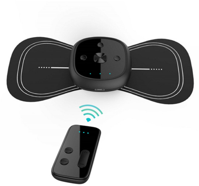 anyfeel 저주파 미니 마사지기 충전식, DPAM