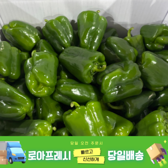 로아프레시 새벽경매 당일발송 국내산 청피망, 1개, 1kg
