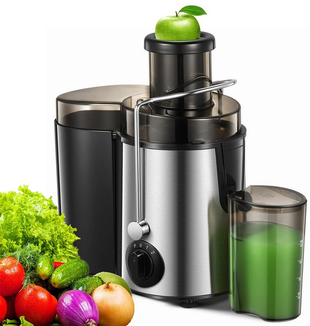 스테인리스 착즙기 500ml 원액기 가정용 분리 과즙기 믹서기 RH301, 실버블랙