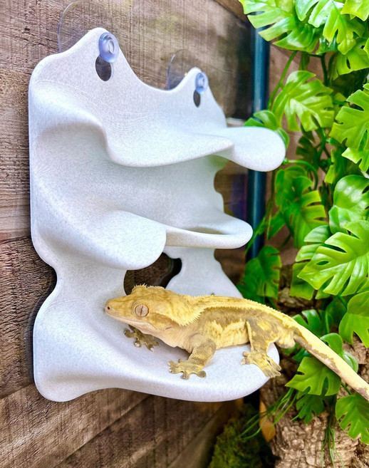 진심글로벌 다흰도마뱀선반 도마뱀 선반 조명, 체리블라썸핑크 대형 자석, 1개, 1g