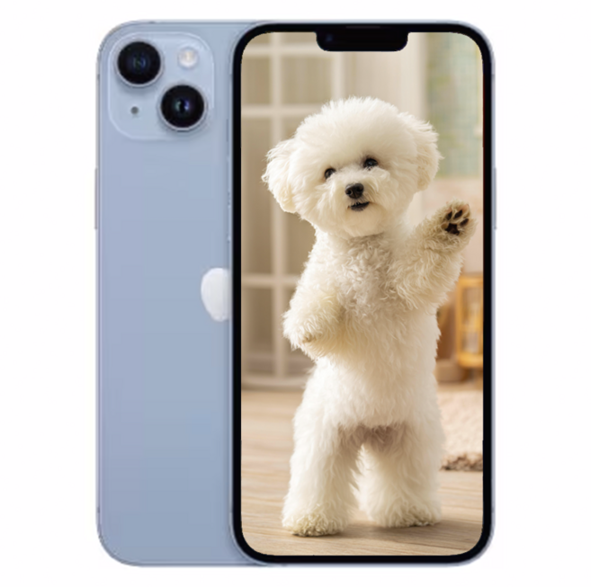 아E폰 14 새상품 미개봉, 256GB, Apple 아이폰 14 블루