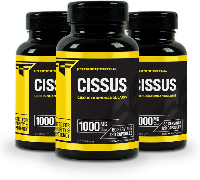 프리마포스 시서스 Cissus 1000mg 120캡슐 3병, 120정, 3개