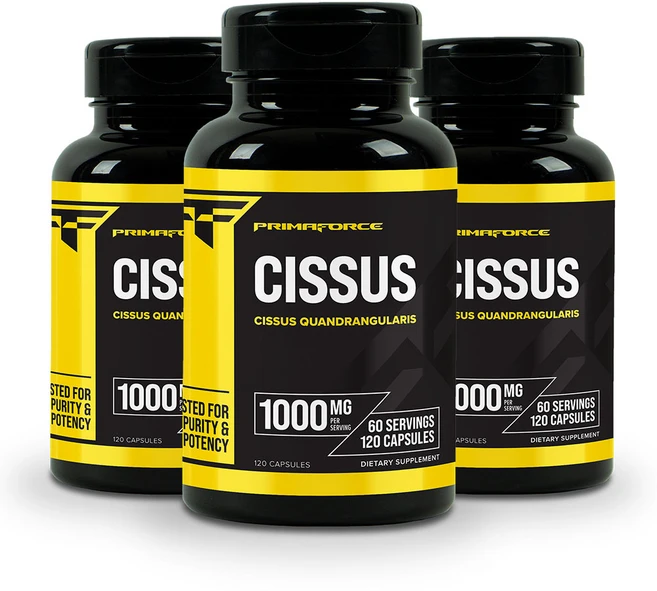 프리마포스 시서스 Cissus 1000mg 120캡슐 3병, 120정, 3개 - 쿠팡