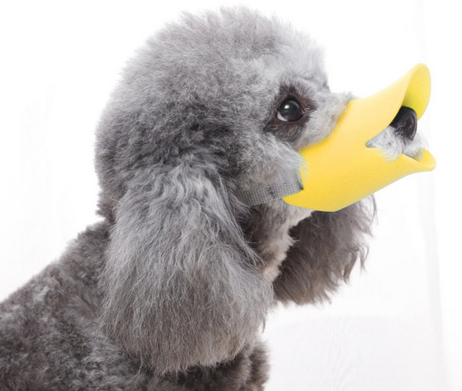 강아지 실리콘 입마개 소형견 훈련 마스크, 다오라 L, 1개