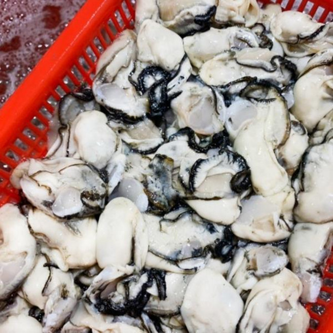 국내산 통영 횟감용 생굴 1kg