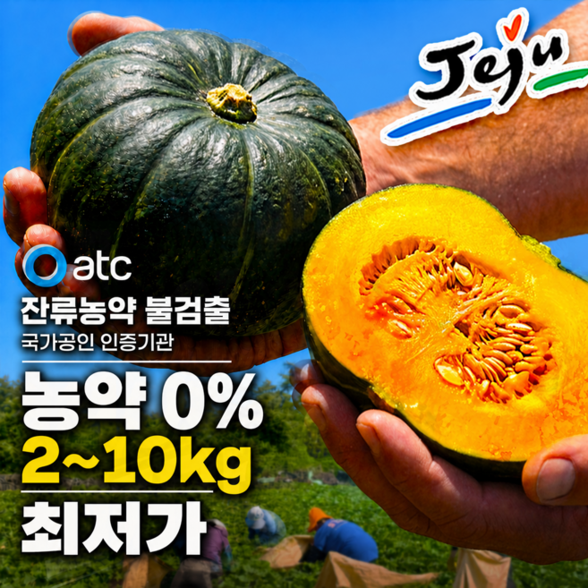 3위 - [선물강추/환불보장]_잔류농약불검출 제주 미니 밤호박 보우짱 단호박, 1개, 2kg 정품