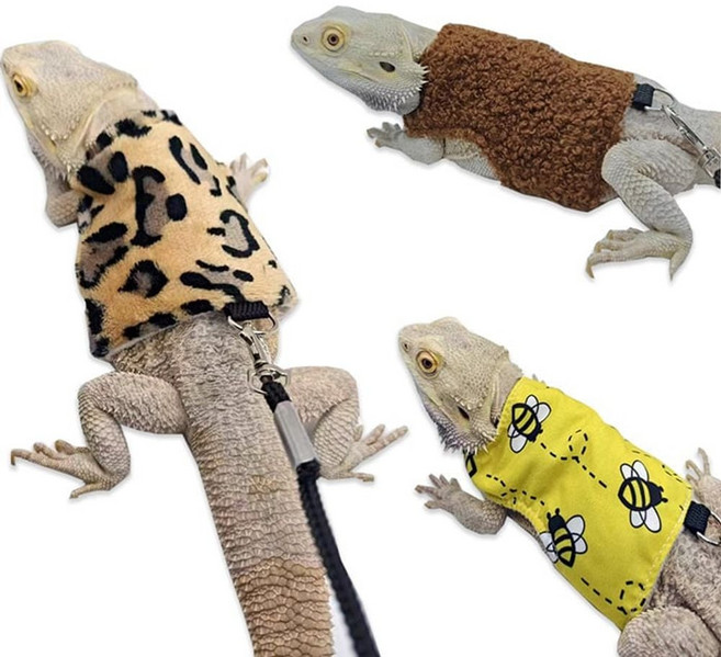 도마뱀 겨울옷 하네스 파충류 의류 목줄 가슴줄 산책 jwt+9596yN, 브라운