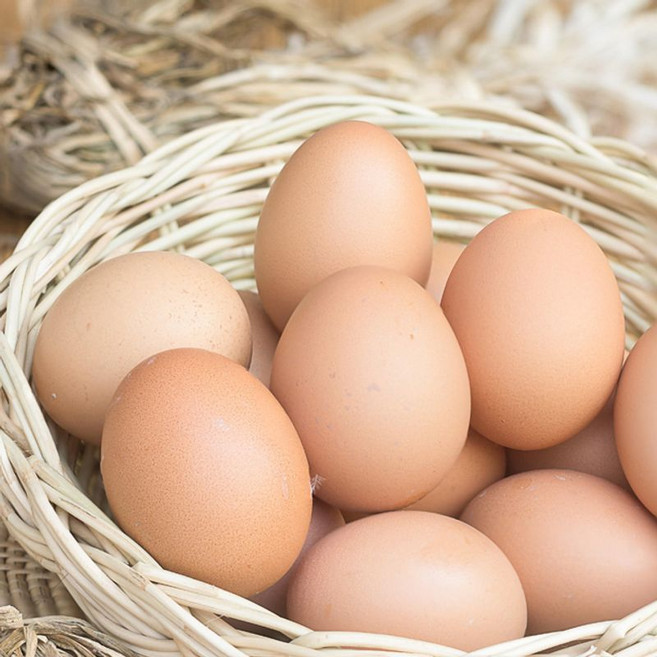 신선보장 파손포장 무항생제 무정란 특란 30구, 1개