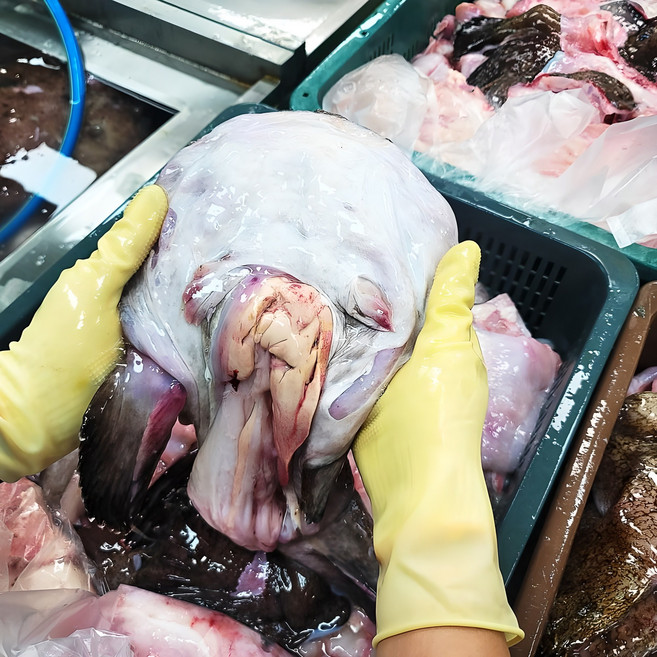 [비슈마켓] 산소 MAP포장 된 손질 생아귀 중매인 직접발송, 1kg, 1개