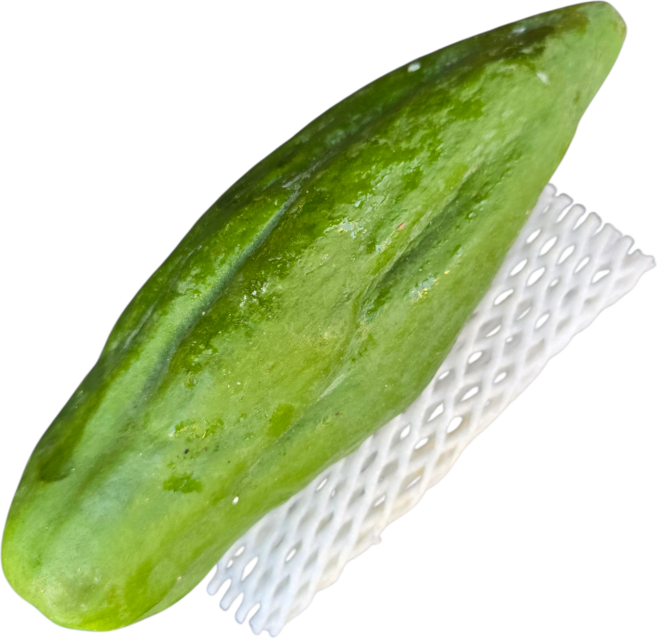 그린 파파야/ 생파파야 쏨땀재료 papaya du du (1개 =약 400g~600g), 1개
