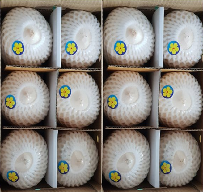 [프리미엄등급] 화이트 영코코넛(coconut) 1box (12과), 1박스, 12개
