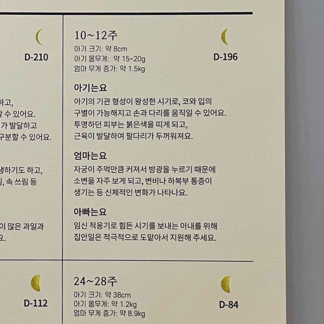 [우가차차486 임신 캘린더 단품] 임산부 축하 선물, 임신캘린더(달)+필수검사 체크 리스트