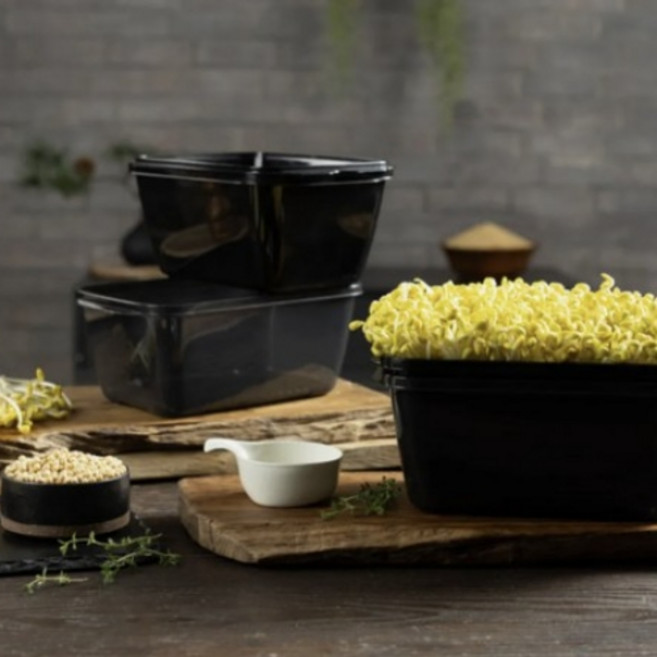 제주에서 자란 콩나물 재배 세트(콩나물콩 400gX5봉+콩나물 재배기) 홈쇼핑 방송 기념, 1, 400g