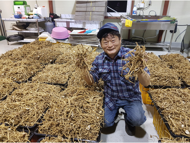 제주잔대(제주천년약초)즙 120m 60포 2개월분 대한민국 한방약초명인 : kcap제06-90호 제주도 한라산 자락에 직접 자연재배한 6차산업 상품., 1개