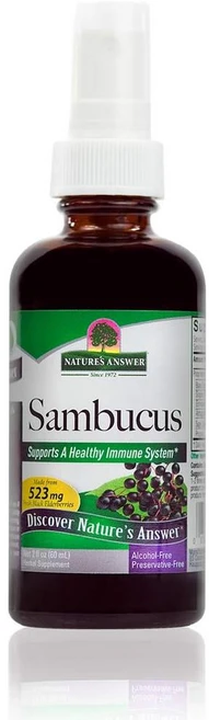 Nature's Answer 네이처스앤스워 알코올-프리 삼부커스 추출물 스프레이 60ml 2개, 1개 - 쿠팡