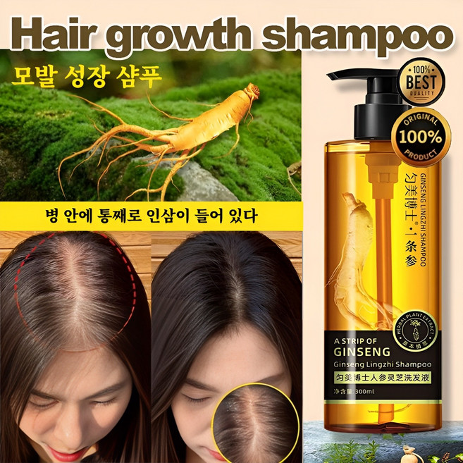 인삼 영지 샴푸 Ginseng & Ganoderma Shampoo 두피 유분 조절 비듬 제거 탈모 방지 모발 재생, 1개, 300ml
