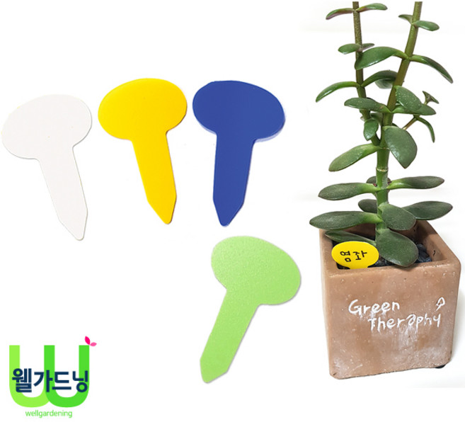 조이가든센터 선인장 다육이 미니라벨 100매, 화이트