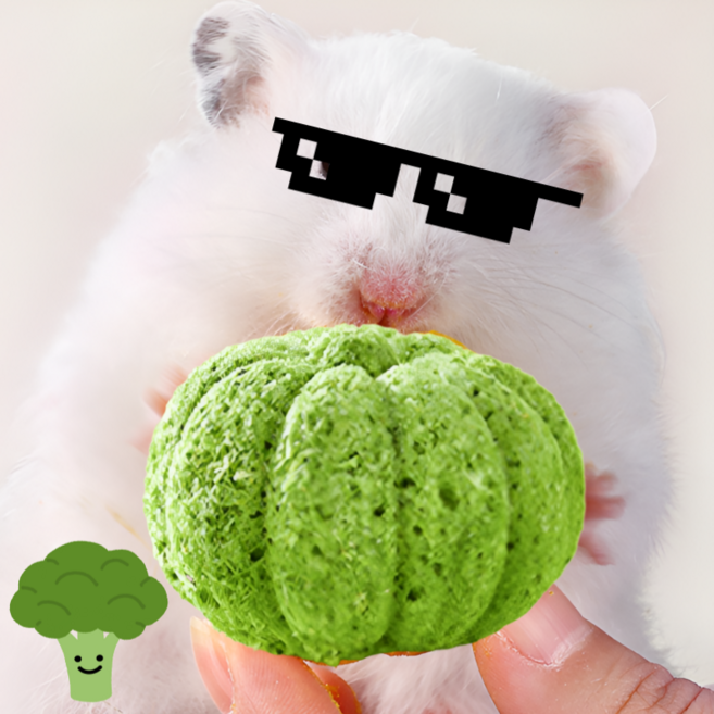 햄스터 호박 이갈이 간식 토끼 친칠라 기니피그 용품 브로콜리맛, 1개, 5g