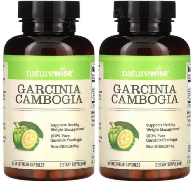 네이처와이즈 브린들베리 가르시니아 캄보지아 90캡슐 2개 Garcinia Cambogia - 쿠팡