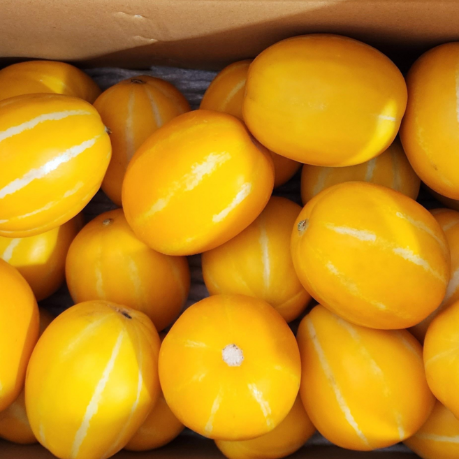 <가람> 초특가 당도 높은 성주 꿀 참외 아삭한 햇 참외, 1박스, 3kg 꼬마참외(가정용)