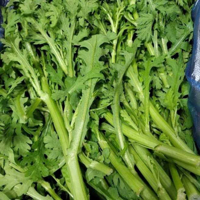 쑥갓 4kg내외 발품장터