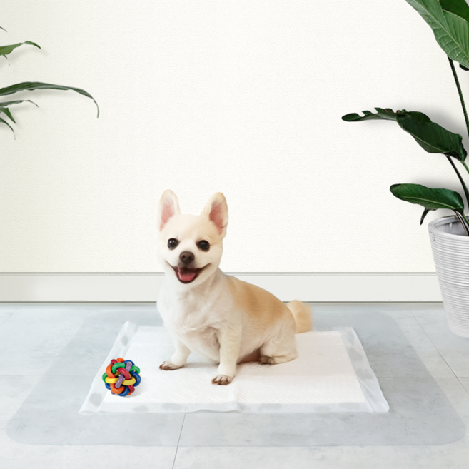 바이쉬 반려동물 투명 클린 배변매트, 대형 ( 120 x 70cm), 1개
