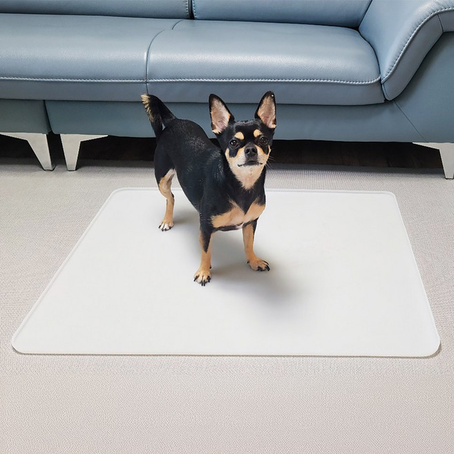 플리다스 착붙 실리콘 배변매트 논슬립 배변판 투명 대형, 1개