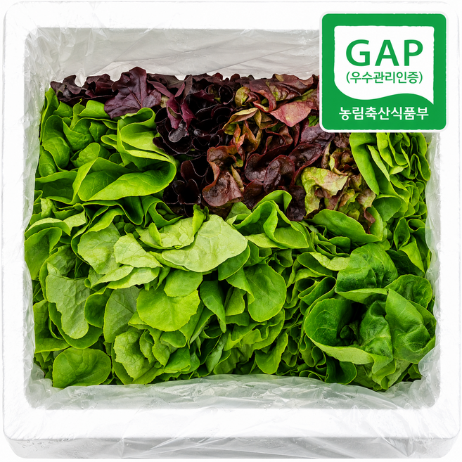 {GAP인증} 고품질 유러피안 샐러드 야채 모둠 쌈채소, 1박스, 1kg