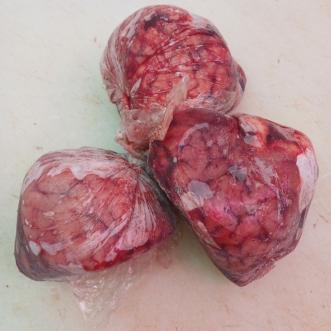 국내산 소골 소뇌 소두뇌 1마리분 냉동, 1개, 100g