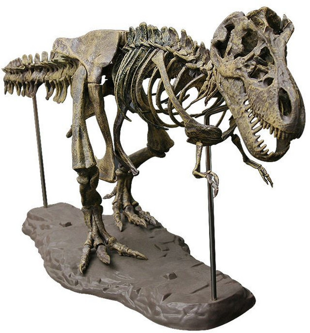 공룡 뼈 장식품 화석 모형 인테리어 조형물 티라노사우루스 장난감