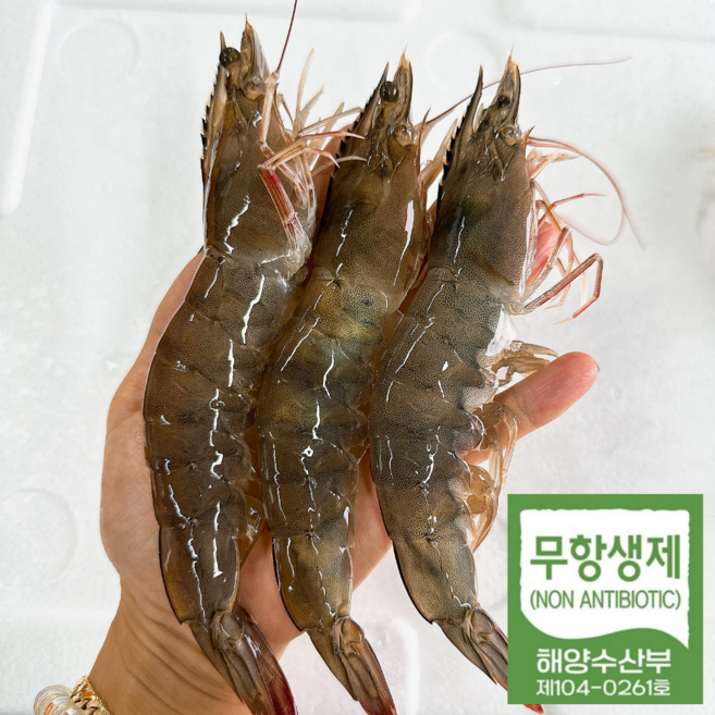 [무항생제] 흰다리 활새우 왕특대 제철 조업 후 급냉 산지직송 1kg(22미내외-냉동), 1세트, 1kg(22미 내외) 냉동