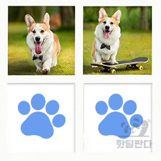 핫딜판다 발도장 스탬프 신생아발도장, 검