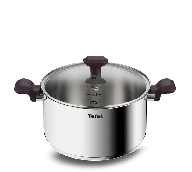 테팔 인덕션 스테인리스 스틸 테이스티쿡 양수냄비, 24cm, 혼합색상, 1개