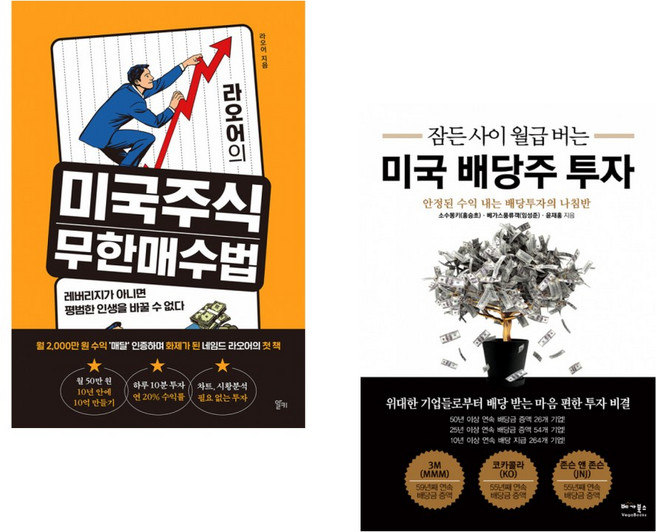 (라오어) 라오어의 미국주식 무한매수법 + (소수몽키) 잠든 사이 월급 버는 미국 배당주 투자 (전2권)
