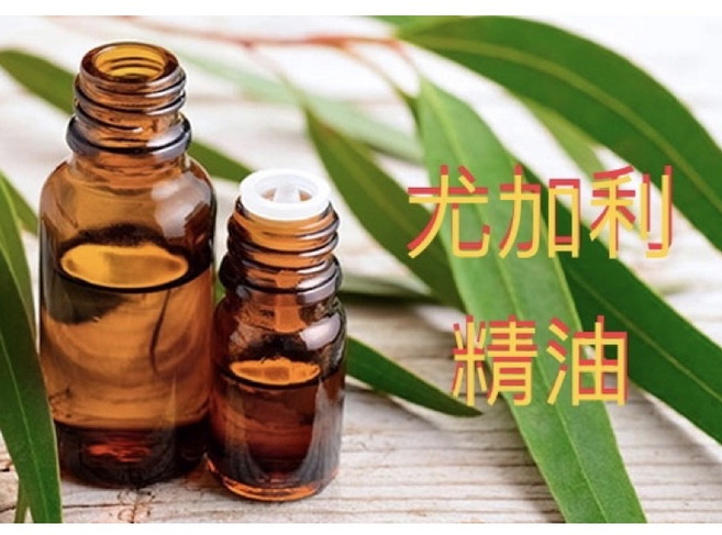 尤加利精油 進口鋁瓶分裝 30ml, 1個