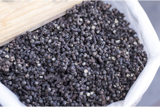 산약초이야기 자연산 헛개열매 지구자 300g, 600g, 1개