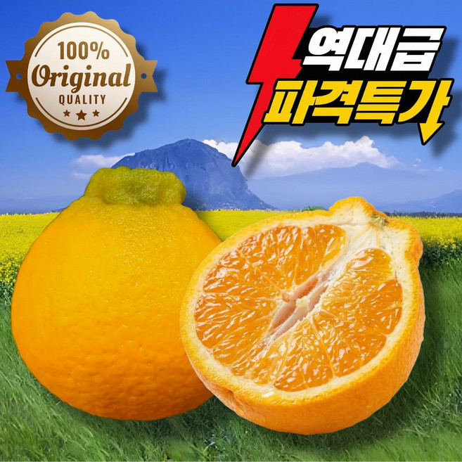 [오늘하루타임특가] 최대17brix 초고당도 제주 한라봉, 1박스, 5kg