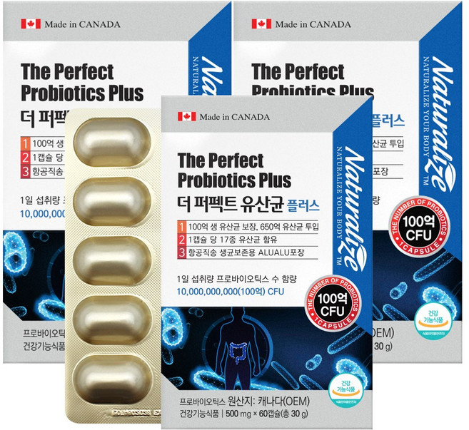 더퍼펙트 유산균 프리 프로 바이오틱스 500억 마리 락토바실러스 가세리 프롤린 장건강 생유익균 먹이 프락토올리고당 신바이오틱스 캡슐, 60정, 3박스