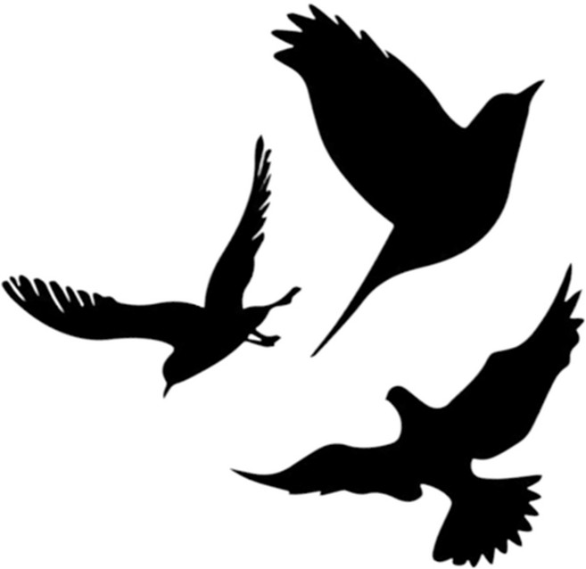 버드스트라이크 방지 창문 정전기 스티커 비둘기 충격방지 베란다 샷시