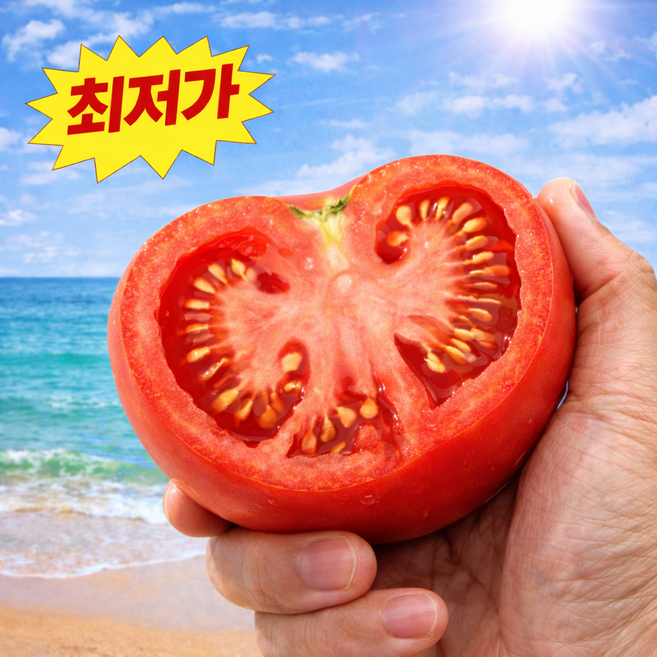 [파격초특가] 100박스한정 재구매율1위 진한풍미 완숙토마토, 1개, 10kg